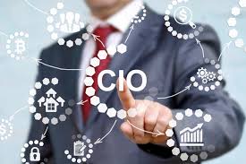 chief information officers (cios)